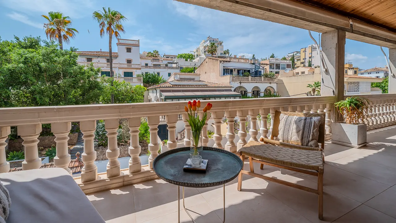 Best Neighborhoods to Live in Palma El Terreno – Bohemian Vibe and Nightlife