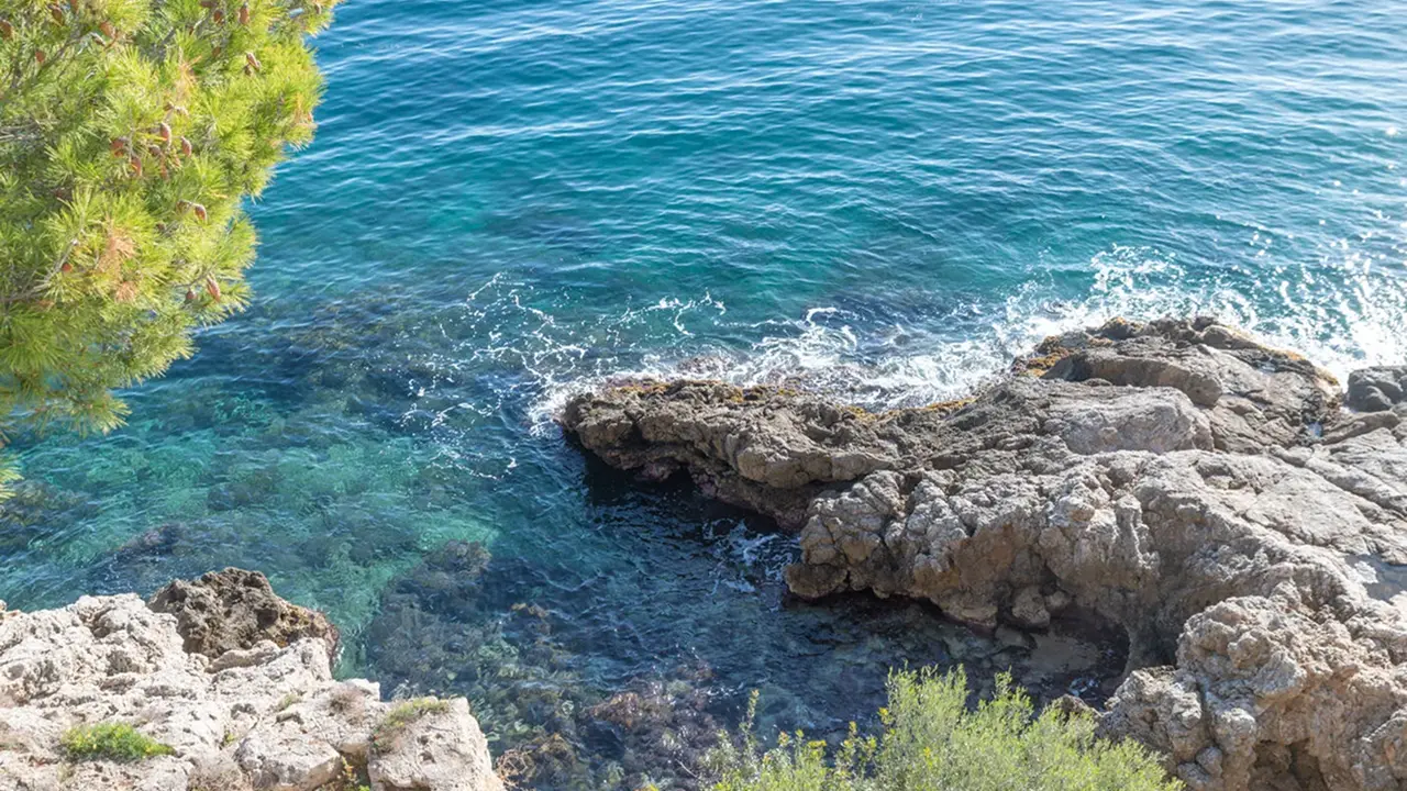 Property Types in SouthWest Mallorca